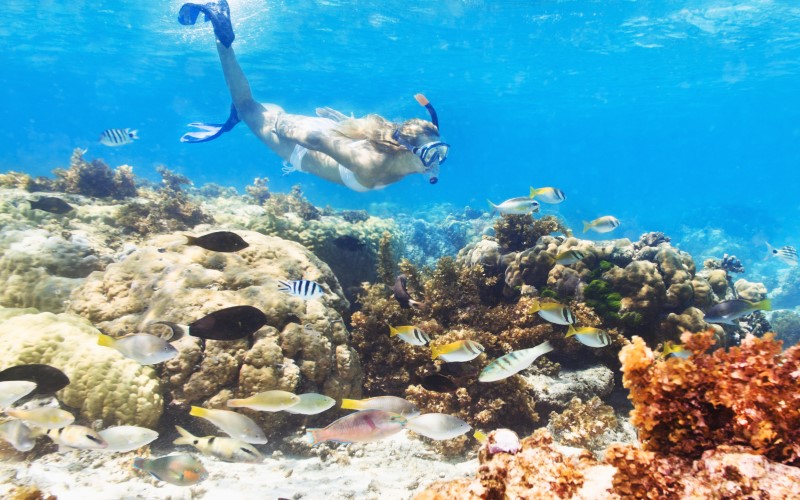 Arrecife Sac Bajo snorkel Isla Mujeres