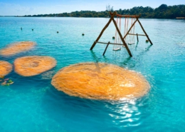 estromatolitos en Bacalar