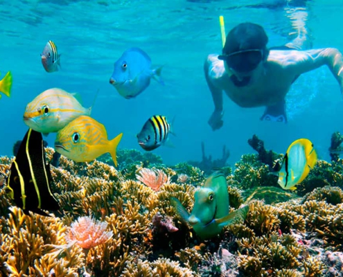 snorkel en Riviera Maya