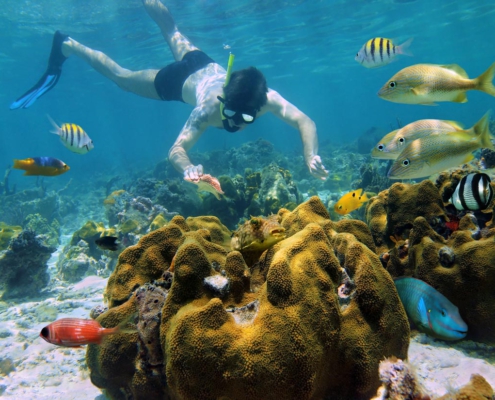 Snorkel Puerto Morelos Riviera Maya