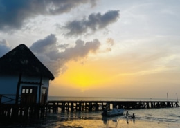 Muelle Holbox